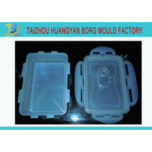 Crisper mold box mould injection mold